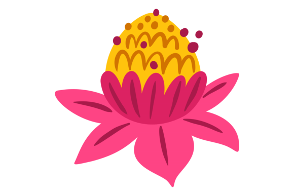 Download Colorful Flower. Exotic Floral Element. - Colorful flower Collection