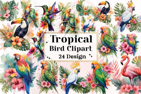 Download Tropical Bird Clipart Bundle - Tropical bird Collection