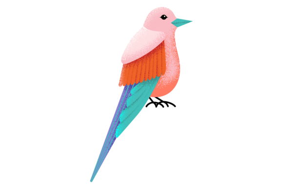 Download Tropical Bird. Colorful Winged Animal. S - Tropical bird Collection