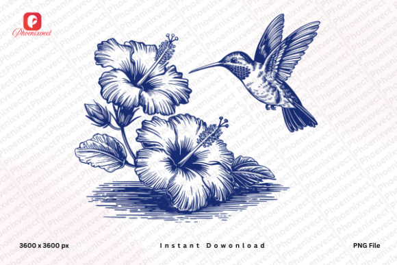 Download Vintage Hibiscus Hummingbird PNG - Hummingbird png Collection