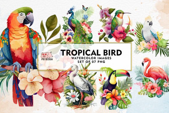 Download Tropical Bird Watercolor Sublimation - Tropical bird Collection